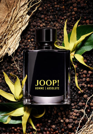 JOOP ABSOLUTE MEN - 2.7oz EDP