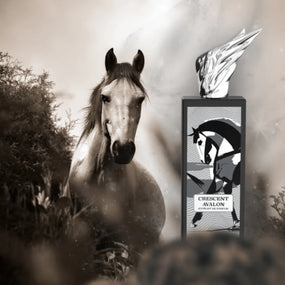 4-1 CRESCENT AVALON GIFT SET UNISEX EDP - BY AMARAN