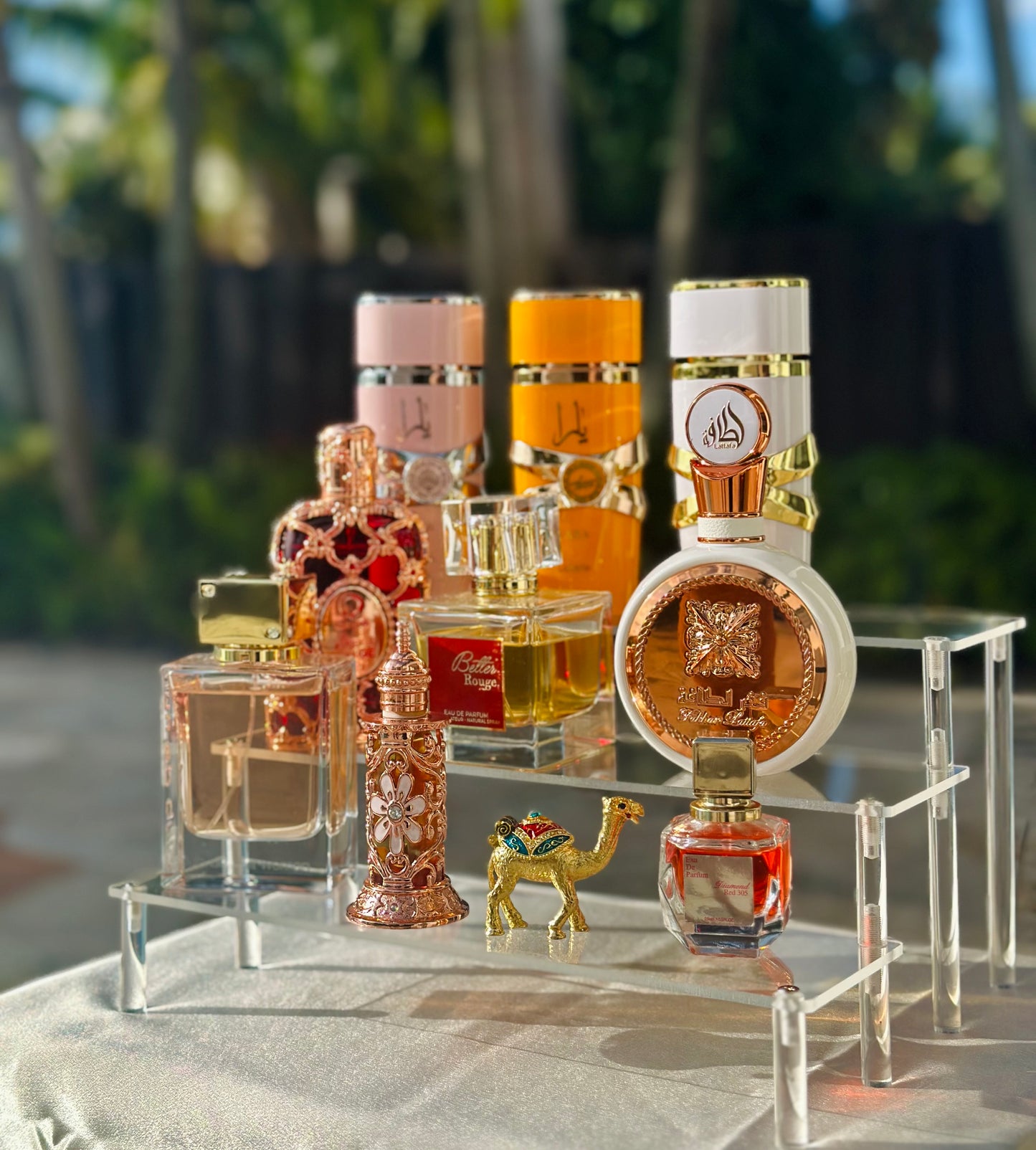 Perfume Organizer Stand 11.8 in x 5.9 in (30cm x 15cm)