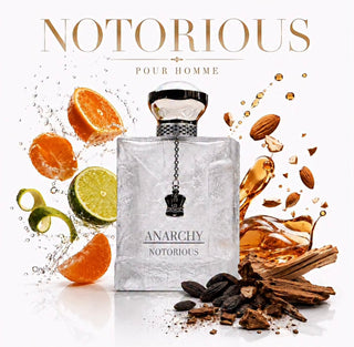 ANARCHY NOTORIOUS MEN - 100ml (3.4oz) By King of Kings