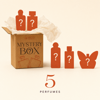 CAJA MISTERIOSA MEDIANA