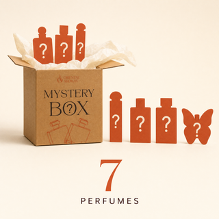 LARGE MYSTERY BOX