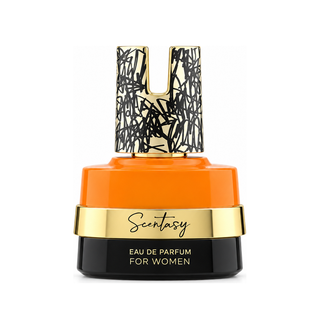 SCENTASY NOIR DE PECHE - 100ML (3.4oz) by ARMAF (NEW LAUNCH)