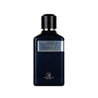 TRIBAL BLUE MEN EDP - 100ML (3.4oz) BY LE GRANDEUR